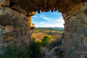 Photos de la vigne et du vin