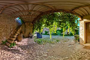 Photos de la vigne et du vin