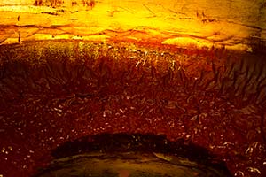 Photos de la vigne et du vin