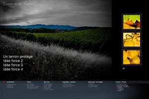 Photos de la vigne et du vin